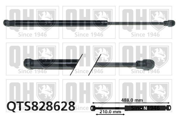 Amortiguador de porton para Ford Focus III CB8